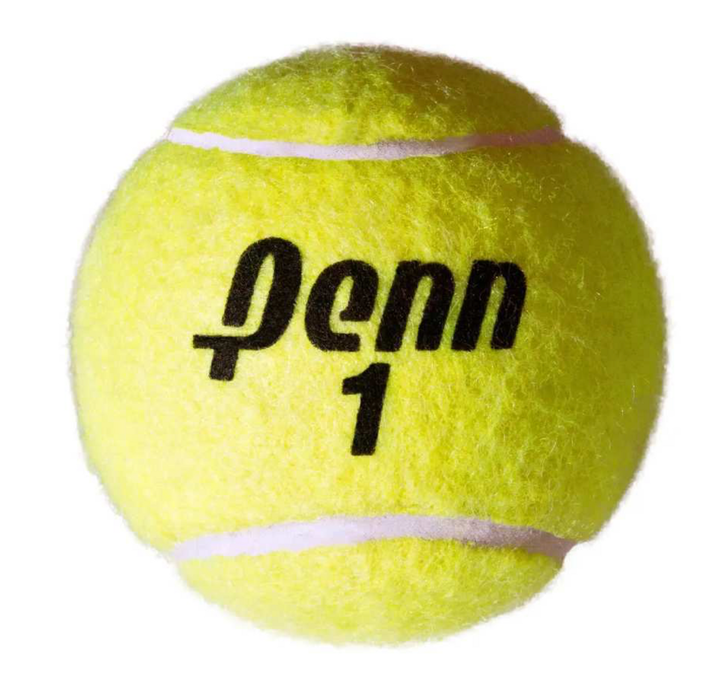 Penn Championship Extra Duty Can